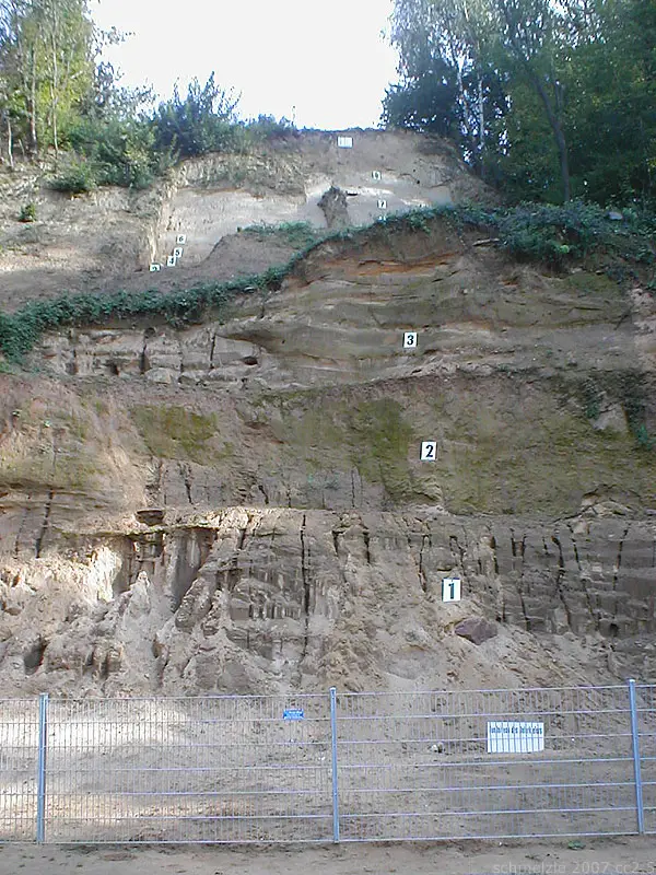Site archéologique de Mauer